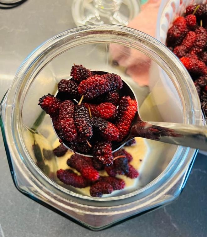 nước dâu tằm ngâm  0