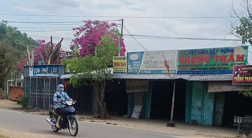 1-bac-binh-w500-h275.jpg