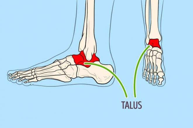 xác định chiều cao giày cao gót lý tưởng 1 xác định chiều cao giày cao gót lý tưởng 1