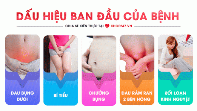 u-nang-buong-trung-204 (1).png 0