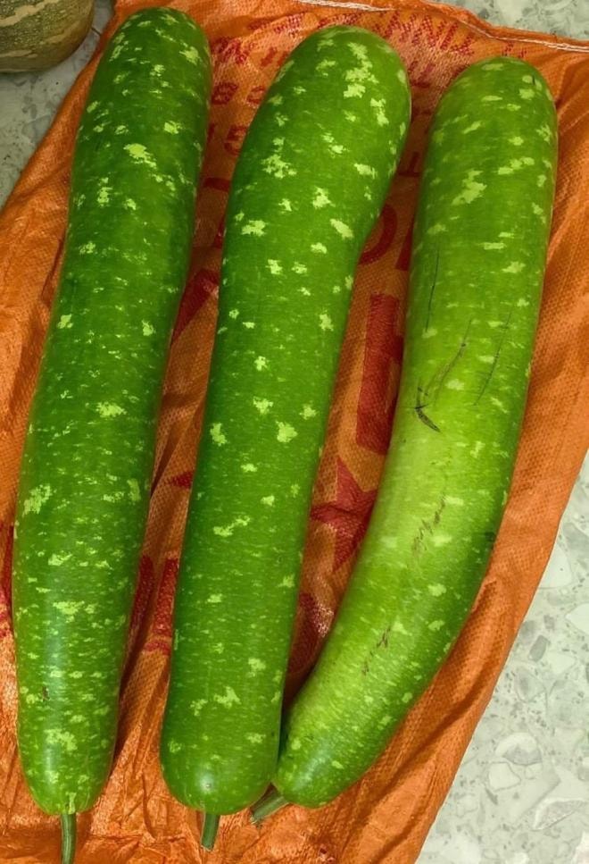 bầu muối chua 0