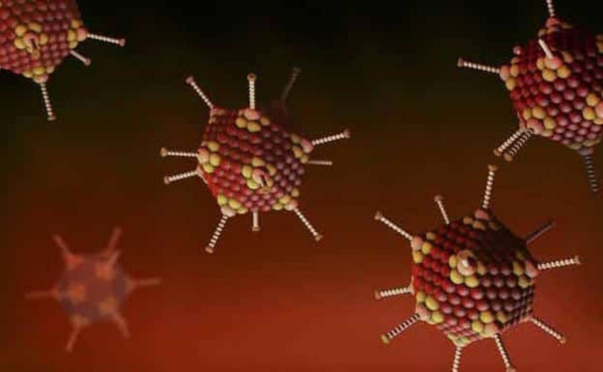 virus_la-1-.jpg