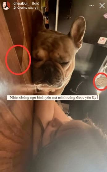 Châu Bùi  3