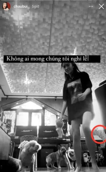 Châu Bùi  0