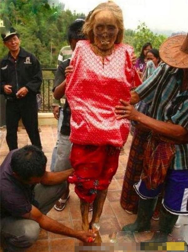 tu-thi (1).jpg 1