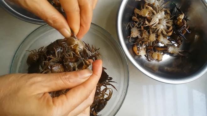 cua đồng  0