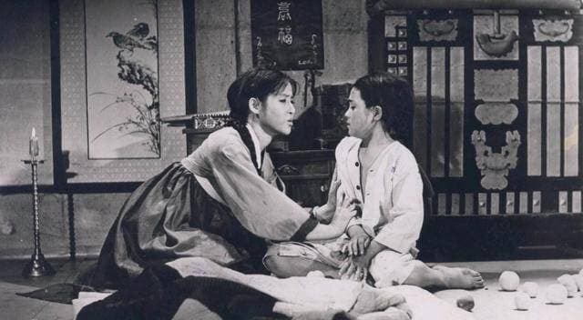 tao-hon (1).jpeg 1