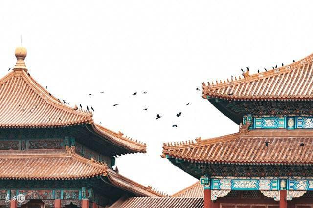 qua-den (1).jpeg 1 qua-den (1).jpeg 1
