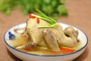 chim-bo-cau (1).jpeg 4