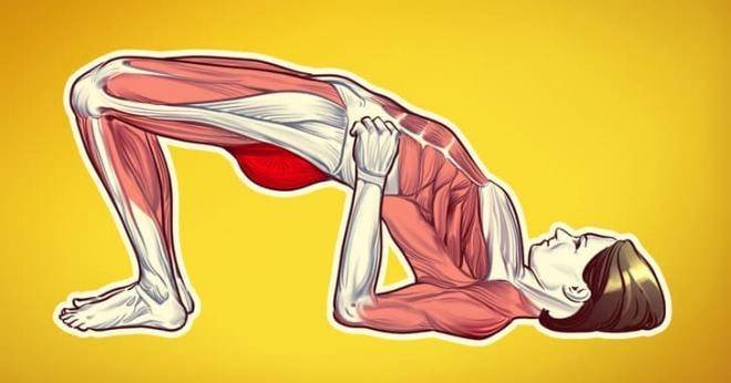 bài tập cho thời kỳ kinh nguyệt 0 bài tập cho thời kỳ kinh nguyệt 0