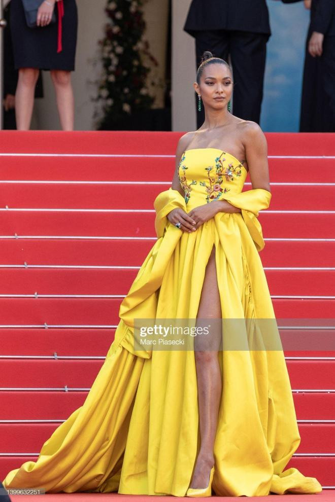 thảm đỏ lhp cannes 16