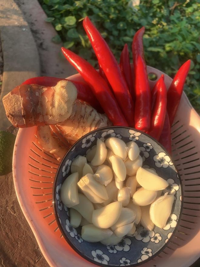 cà chua ngọt  3