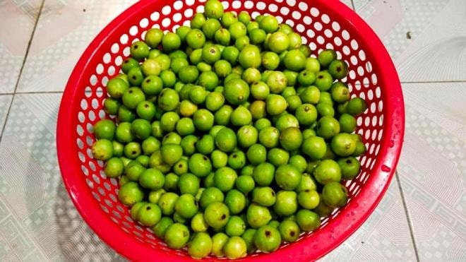 sung muối  3