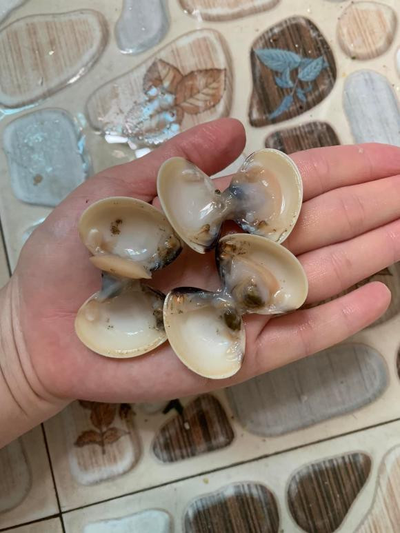 làm sạch ngao, canh ngao, món ngon 