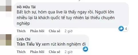 hoa hậu Tiểu Vy, sao Việt