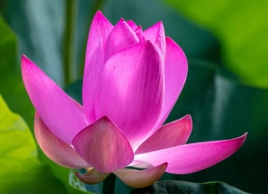 tình thân, cha mẹ, anh em, ứng xử, người thân