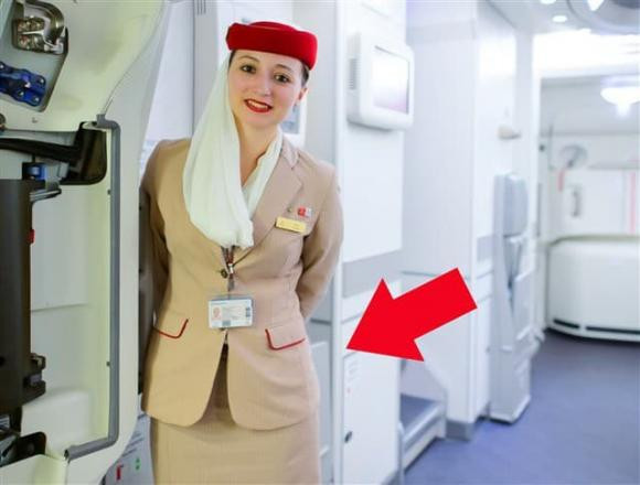 tiếp viên hàng không, tiếp viên, máy bay, dụng cụ đếm người, chắp tay sau hông khi chào hành khách