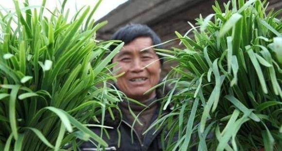 tỏi tây, cách chọn tỏi tây, mẹo vặt gia đình