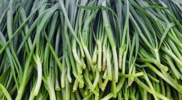 tỏi tây, cách chọn tỏi tây, mẹo vặt gia đình