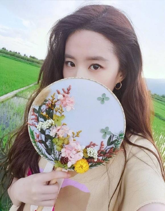 lưu diệc phi, mộng hoa lục, trần hiểu, thiên long bát bộ, thần tiên tỷ tỷ