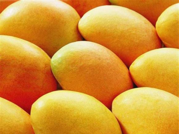 bảo quản thực phẩm trong tủ lạnh, bảo quản thực phẩm, những thực phẩm không nên cho trong tủ lạnh