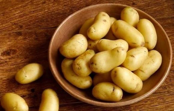 bảo quản thực phẩm trong tủ lạnh, bảo quản thực phẩm, những thực phẩm không nên cho trong tủ lạnh
