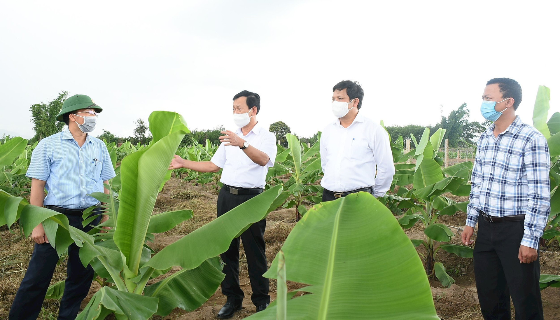 Thanh An vươn lên nhờ phát triển nông nghiệp công nghệ cao