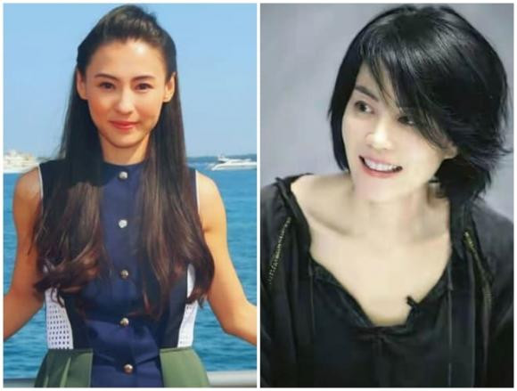 Trương Bá Chi, Vương Phi, sao Hoa ngữ, Tạ Đình Phong