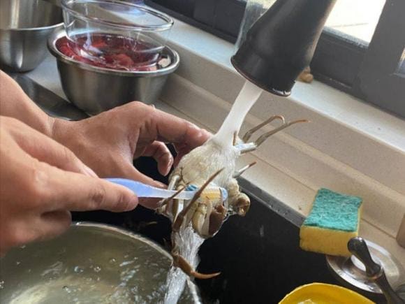 hấp cua, món ngon mỗi ngày, lưu ý khi hấp cua