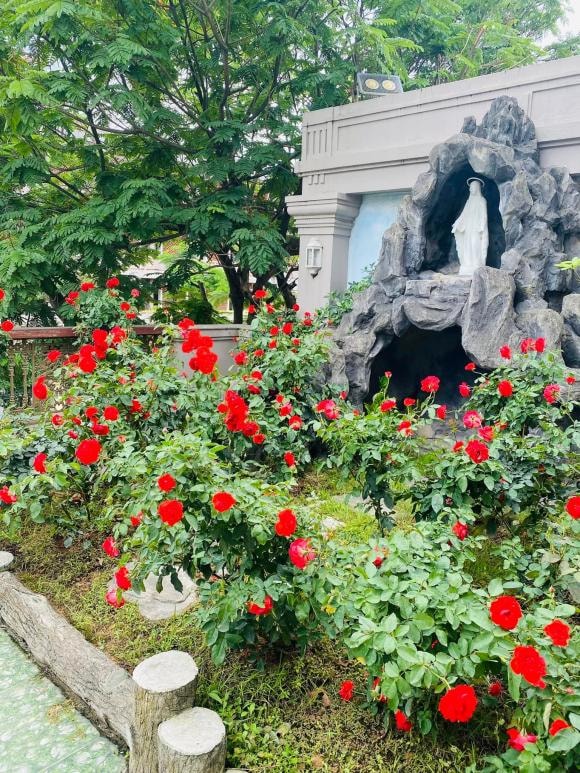 ca sĩ Vy Oanh, sao Việt
