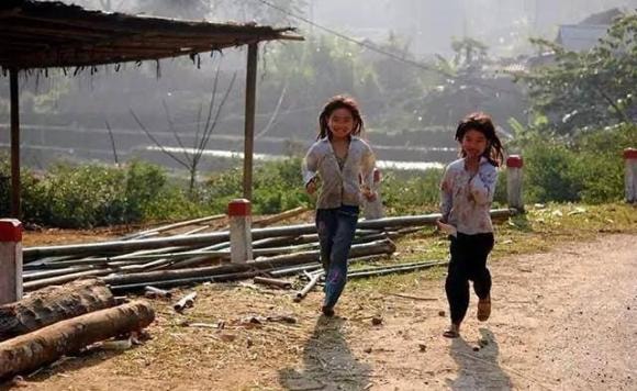 chấy, rận, sinh vật