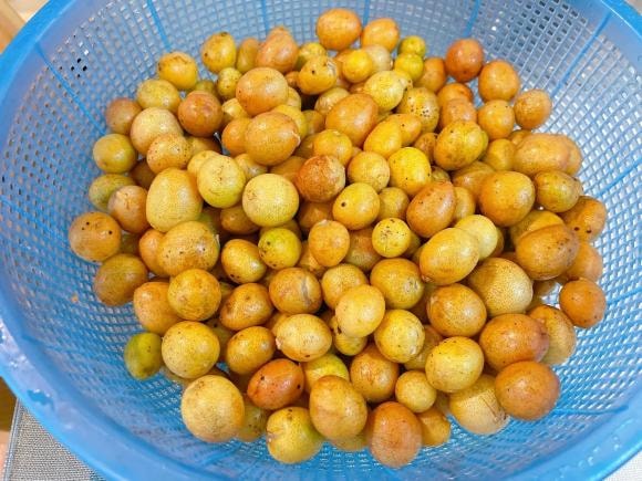 quất hồng bì, quất hồng bì ngâm đường, món ngon 
