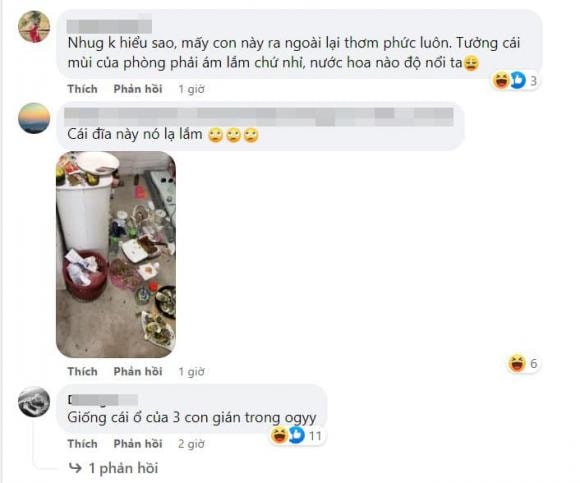 ở bẩn, cô gái ở bẩn, phòng trọ ngập rác