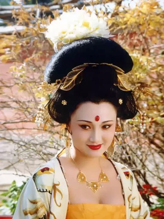 Lâm Phương Bình, Dương Quý Phi, sao Hoa ngữ