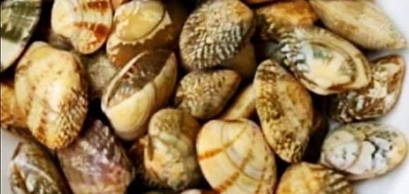canh ngao, món canh ngao mướp, món ngon mỗi ngày