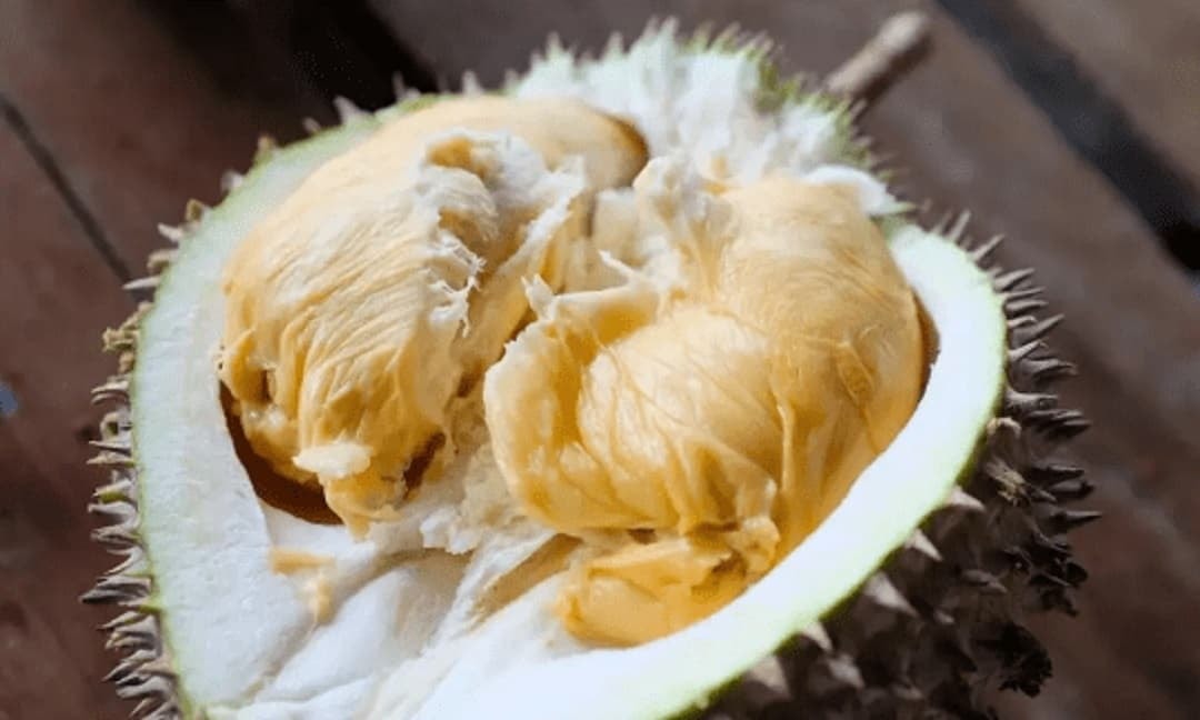 Mách chị em cách khử mùi hôi tủ lạnh vô cùng hiệu quả và đơn giản