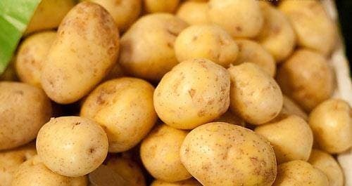 cách bảo quản khoai tây, khoai tây, bảo quản khoai tây đúng cách