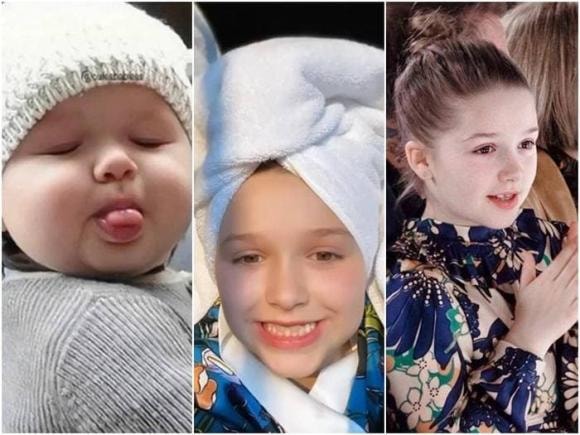 harper seven, flynn bloom, ngậm thìa vàng, sao hollywood 