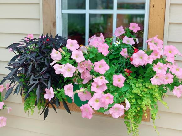 Tin sao việt, tin sao việt mới nhất, tin sao việt hot nhất, tin sao việt tháng 7