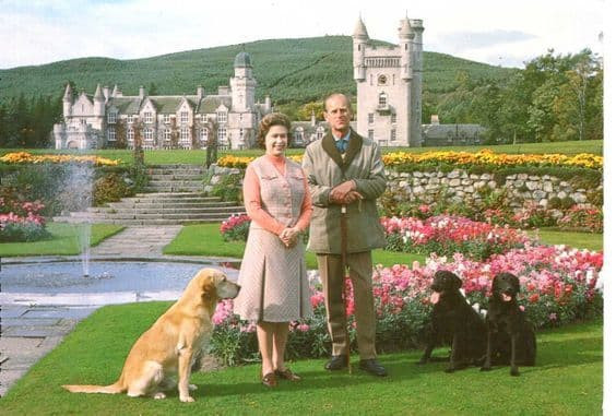 nữ hoàng anh, harry meghan, meghan markle, william kate