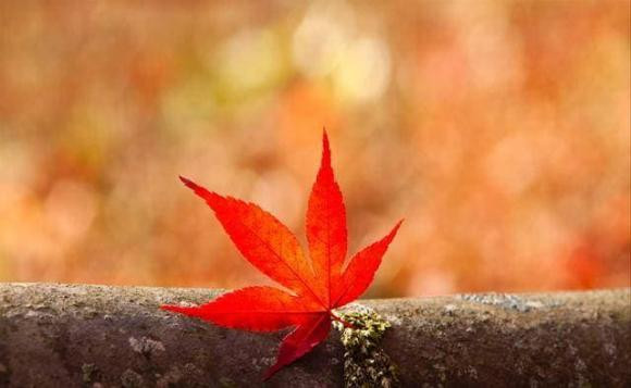 hãy chịu trách nhiệm với hai loại người, cuộc đời cần biết điều này, cuộc sống