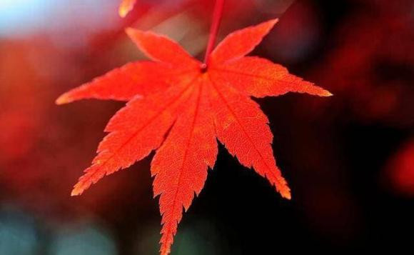 hãy chịu trách nhiệm với hai loại người, cuộc đời cần biết điều này, cuộc sống