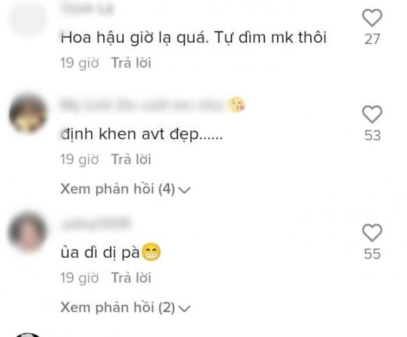 Đỗ Thị Hà, Hoa hậu Đỗ Thị Hà, sao Việt