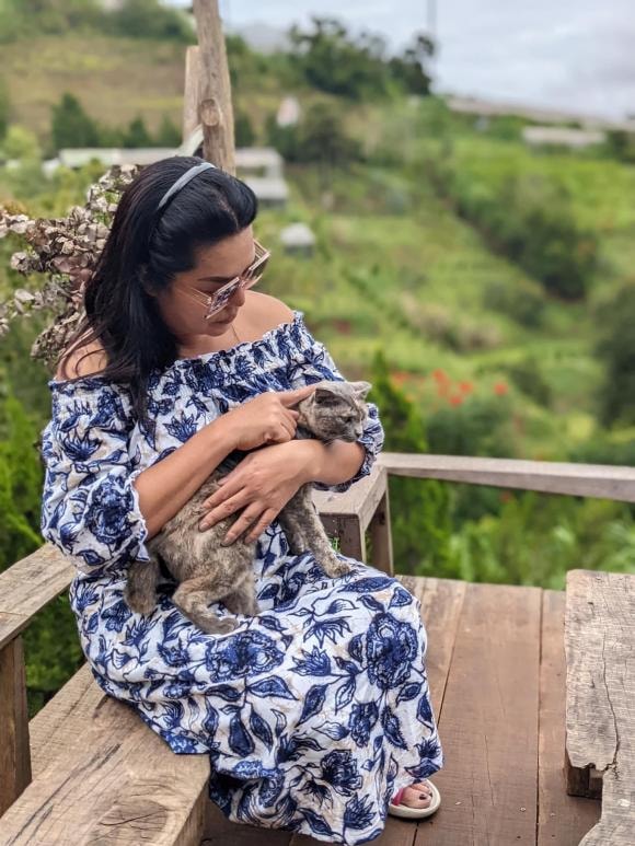ca sĩ Cindy Thái Tài, sao Việt