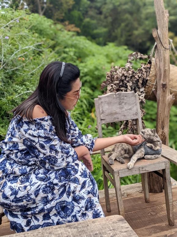 ca sĩ Cindy Thái Tài, sao Việt