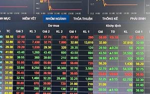 Vi phạm trong lĩnh vực chứng khoán, nhiều doanh nghiệp bị phạt