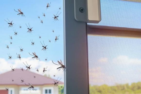đuổi muỗi, cách đuổi muỗi, mẹo đuổi muỗi