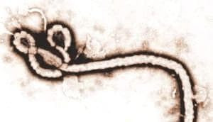 virus,  AIDS và Ebola, đậu mùa, châu phi