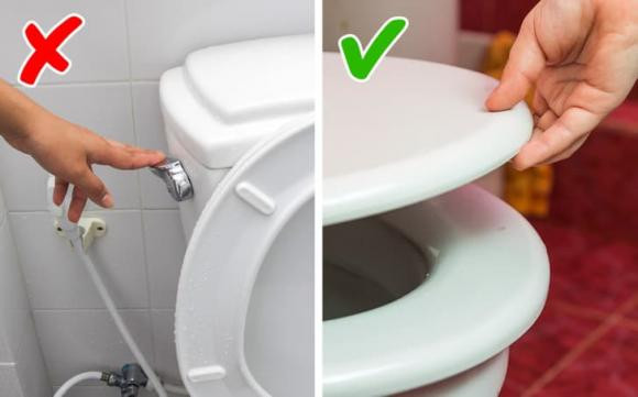 bồn cầu, sử dụng bồn cầu, kiến thức