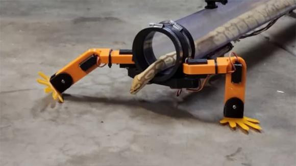 Allen Pan, kỹ sư Allen Pan chế tạo đôi chân robot cho rắn,  Allen Pan yêu thích rắn